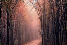 华体会官网:强力外援!上海男篮官宣:俱乐部与NBL新赛季冠军后卫完成签约.