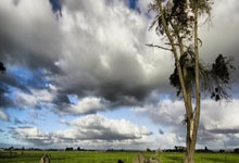 英超战报:莱斯特深陷降级区 0比4惨败布伦特福德.