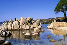 红魔逼平红军展魔性 炮兵足总杯主场作战不敢轻敌.